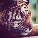 ���� ������, ������, 30 ��� - ��������� 24 ��� 2021 � ������ ���� ����������