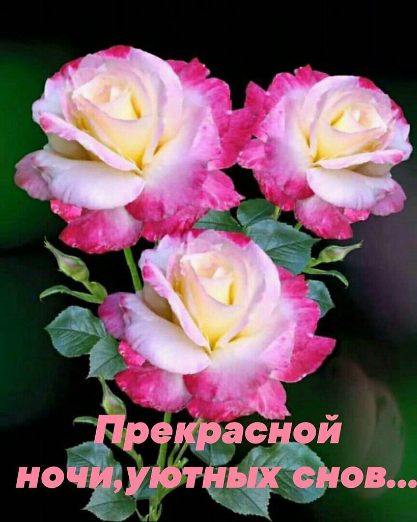   ,    . - 9  2021  18:25 - 3