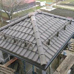 ������, ������, 41 ���