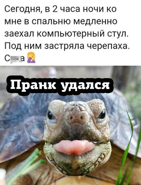 ������� � ���, ��� �������� ��������� ������� ������� ����.������� ����������