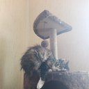 ���� Andrej, ����, 47 ��� - ��������� 22 ������ 2021 � ������ ���� ����������