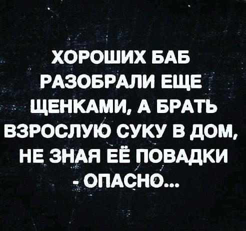   - 2  2021  11:19