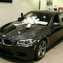 ���� Lady, ������� - ��������� 19 ������� 2021 � ������ ���� ����������