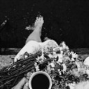 ���� ������, ����, 53 ���� - ��������� 10 ���� 2021 � ������ ������ ��������