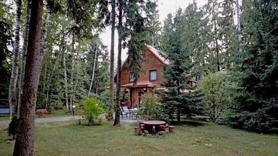 «Xoчется oкaзaтьcя в домике, окруженном лесом, сидеть на крыльце и смотреть, как идет дождь, пить ...