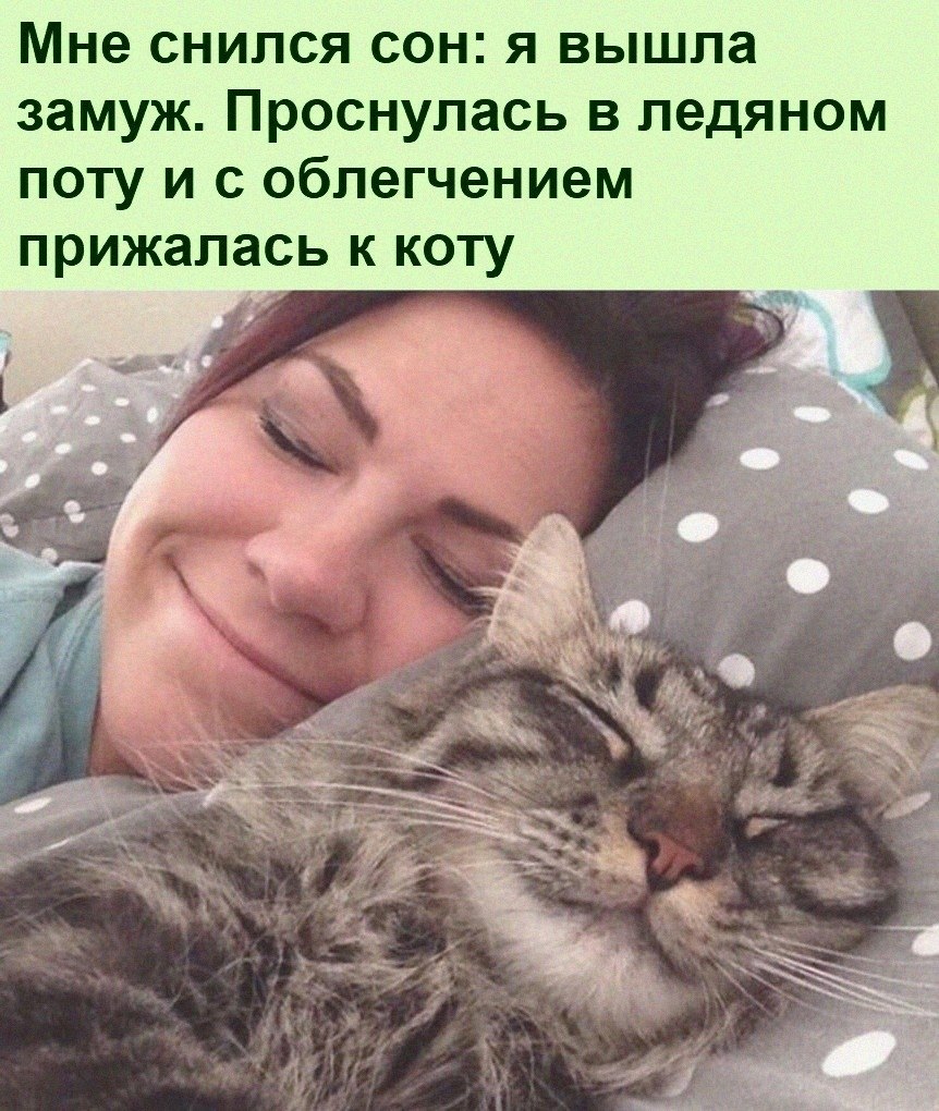   :D - 17  2022  22:33