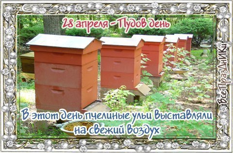   ,    . - 27  2021  23:59 - 6