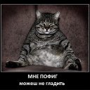 ���� ���������, ������, 50 ��� - ��������� 19 ������ 2021 � ������ ���� ����������