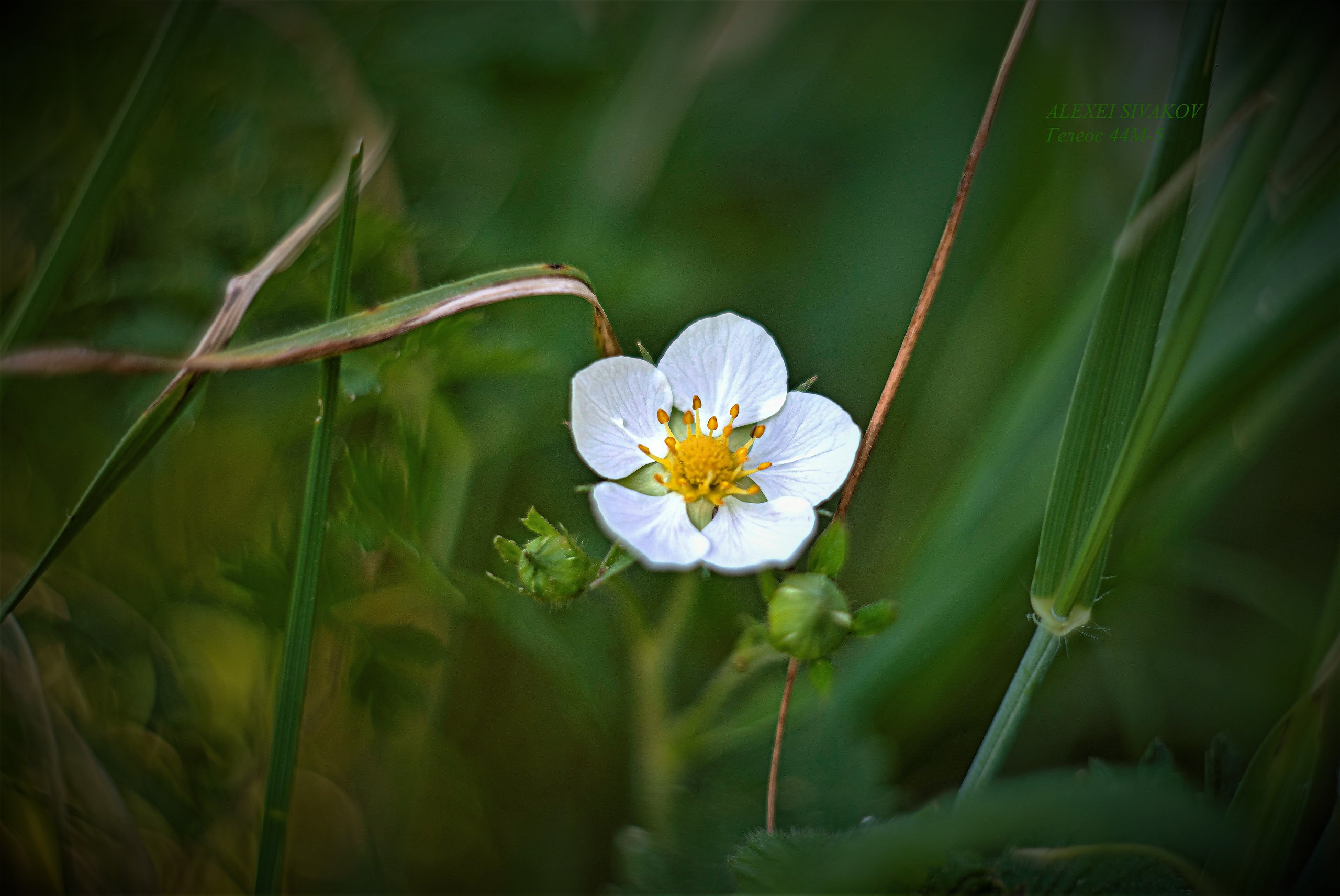    ! # #helios44m # #