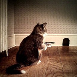 ������, ���, 37 ���