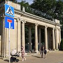  , , 66  -  24  2021    2021