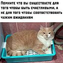 ���� ������, �������� - ��������� 9 ������ 2022 � ������ ������ ��������