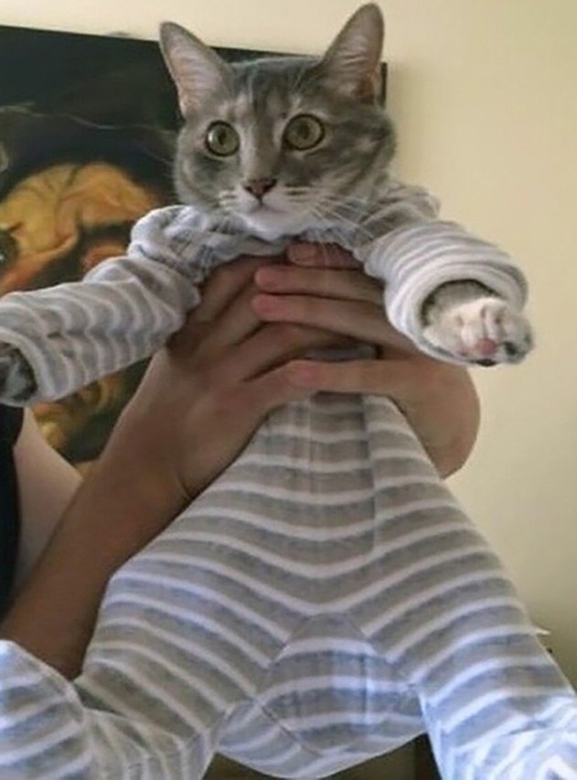       - 3