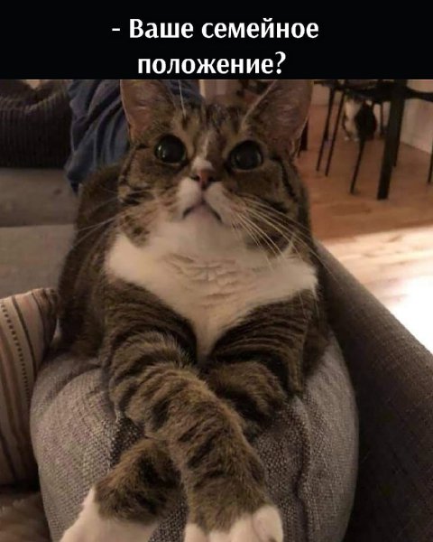    :