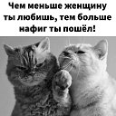 ���� ������, ������ - ��������� 26 ������ 2021 � ������ ���� ����������