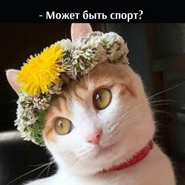 ��� ���� � ����� �� �� - 21 ������� 2021 � 16:02 - 2