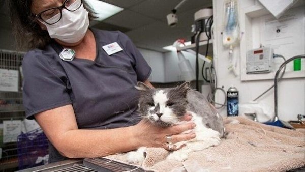 ������������ ������ ����� 1 �� ������ � �������� �����.�.� ��� ������� ����� ��������� �������� - 6