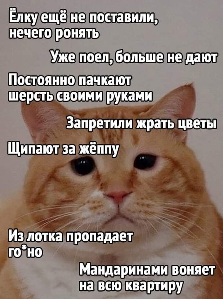 Короче: жизнь - фигня! Тоска и скука. Впал в хандру не по годам... Кто живёт у ноутбука, Развлекайся ...