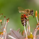 ���� �����, �����������, 53 ���� - ��������� 1 ��� 2021 � ������ ���� ����������