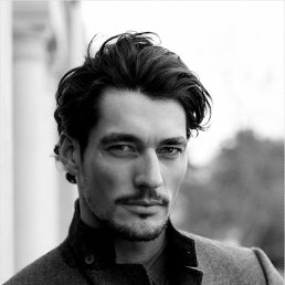 �������, ����-�����������, 50 ���