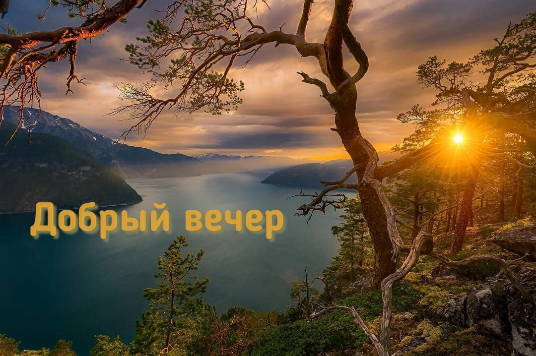 ����������� � ���������, �������� �� ������ ����. - 19 ������ 2021 � 18:08 - 2