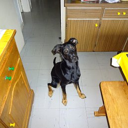 S&eacute;bastien, �����, 26 ���