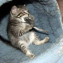 ���� ������, �����, 46 ��� - ��������� 31 ���� 2021 � ������ ���� ����������