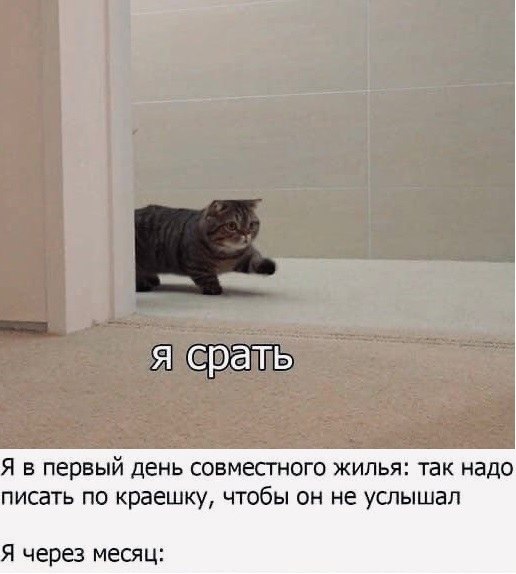    :  ,     