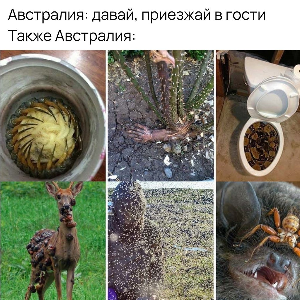       .   ,   !