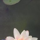 ���� �����, ������� �����, 54 ���� - ��������� 2 ������� 2022 � ������ ���� ����������
