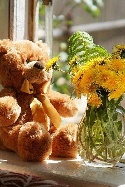 Мой лучший друг – игрушечный медведь из мягкого коричневого плюша....с ним можно ...