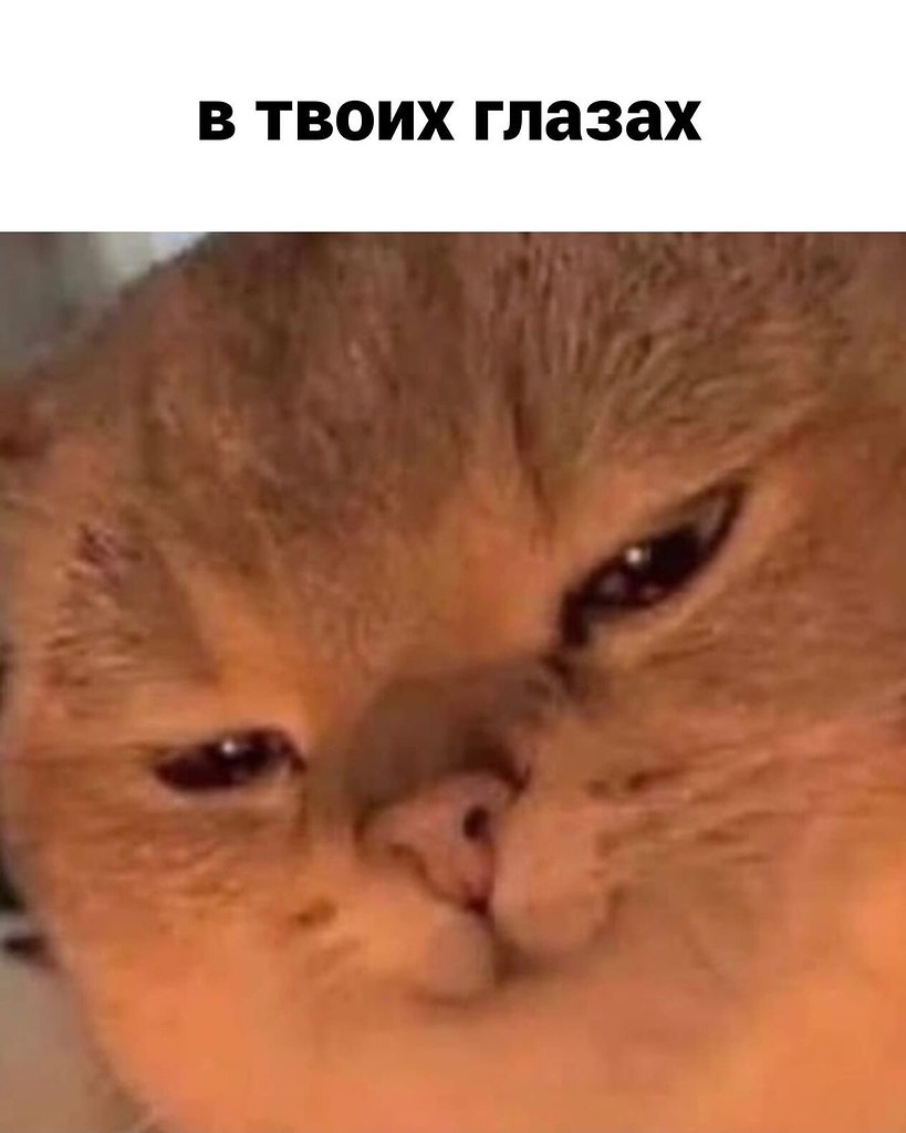 �� �� ��� �������! ������� ���������� - 4