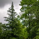 ���� Racosh, ����-�������, 60 ��� - ��������� 29 ��� 2021 � ������ ������ ��������