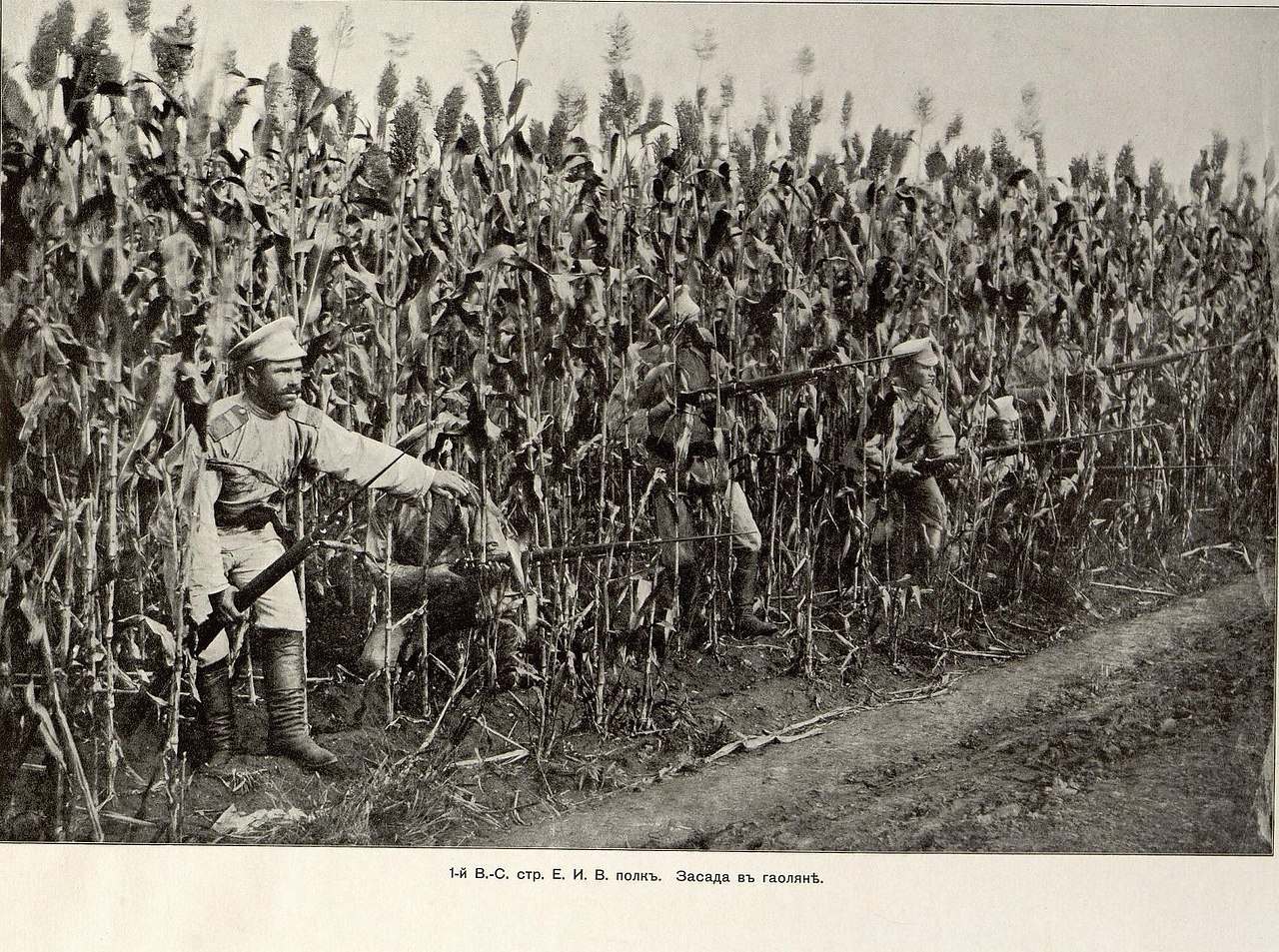 ������ � �������. ����������� �����. ����������. 1904-1905 ����. #1900s@phistory | #russia@phistory ...