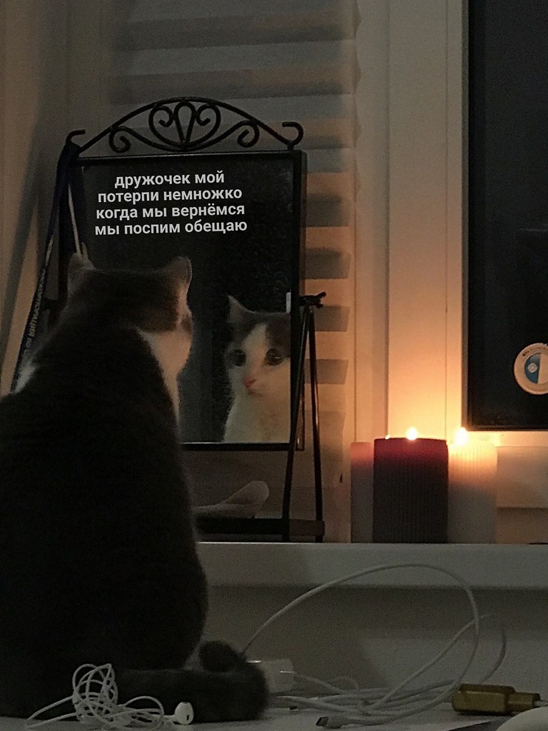    :