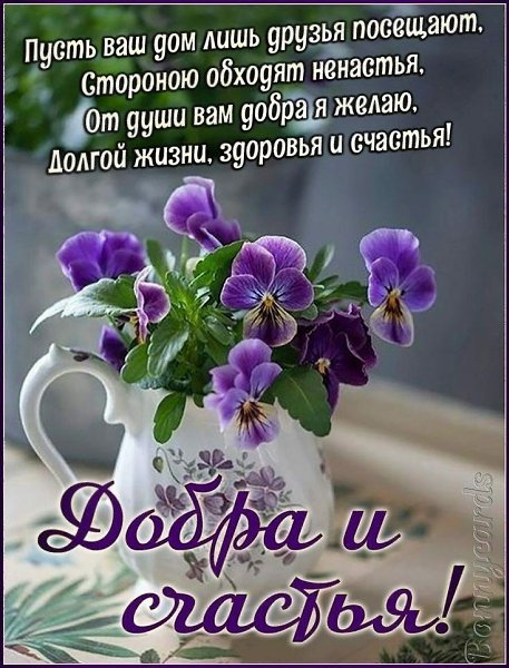   ,    . - 24  2021  14:19