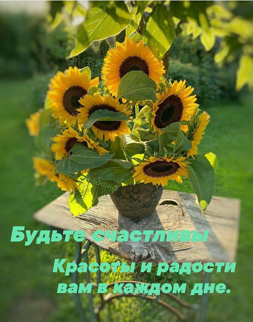   ,    . - 15  2021  23:45 - 5