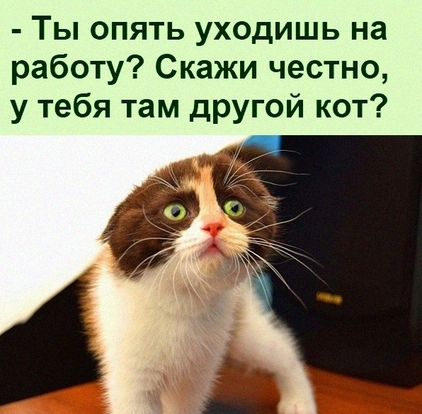  :D - 13  2021  17:39