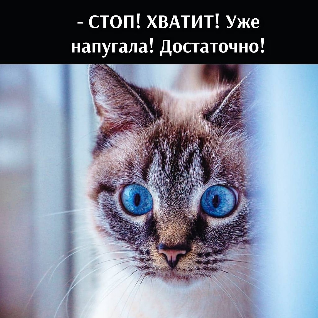       - 9  2021  19:34 - 2