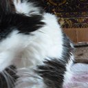 ���� Sergey, ����-�����������, 49 ��� - ��������� 21 ���� 2021 � ������ ���� ����������