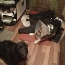 ���� ������, �����, 47 ��� - ��������� 3 ������ 2022