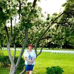 ���� �������, ������������, 58 ��� - ��������� 26 ������� 2021