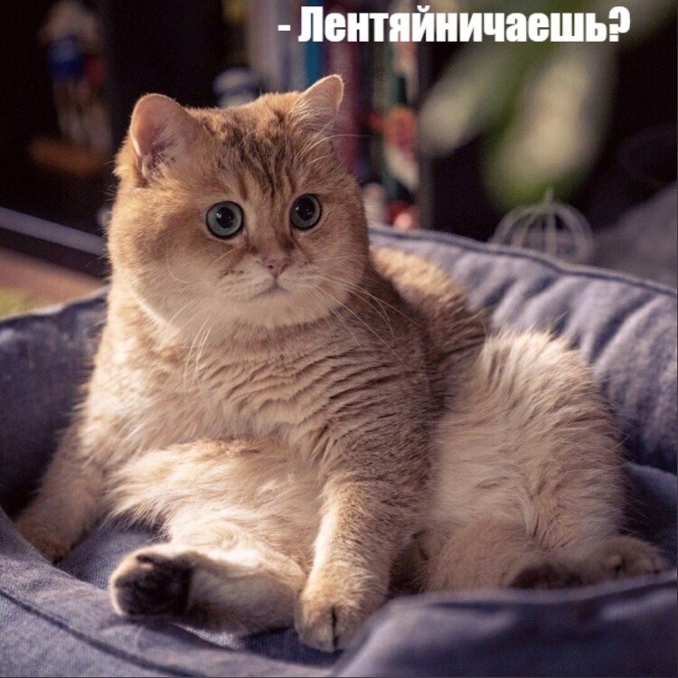       - 9  2021  22:36