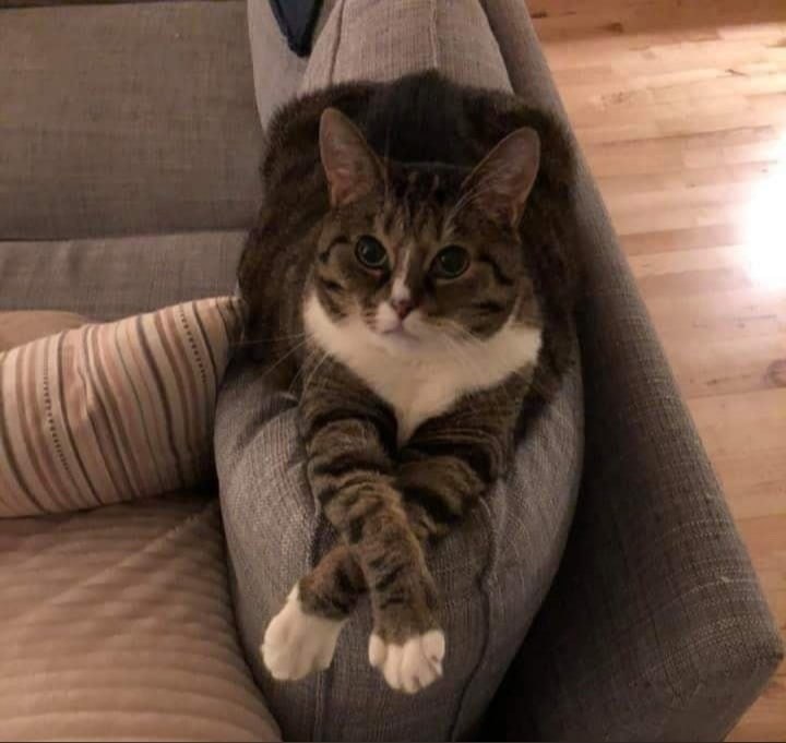       - 6  2021  09:27 - 3