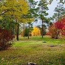 ���� �����, ���������, 67 ��� - ��������� 17 ������� 2021 � ������ ������ �� �������� �������.�