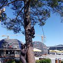 ���� ���, ��������, 72 ���� - ��������� 2 ������� 2021 � ������ ���� ����������