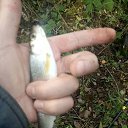 ���� �������, �����, 54 ���� - ��������� 5 ������� 2021 � ������ ���� ����������