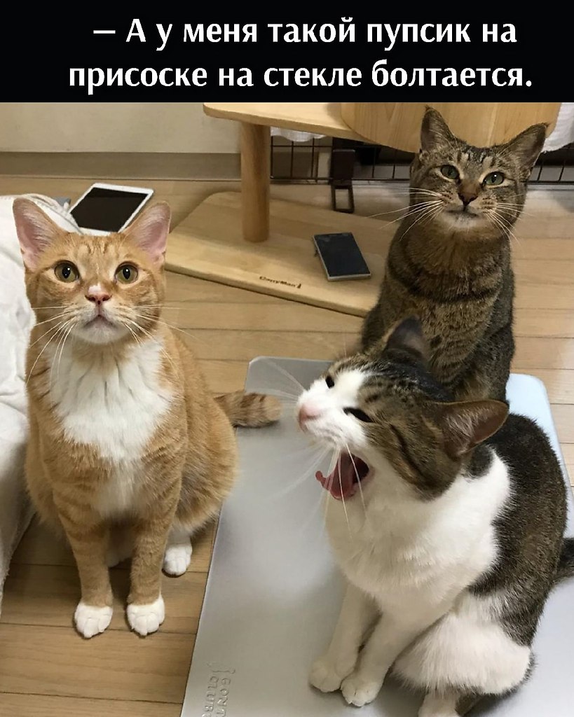 ��� ���� � ����� �� �� - 10 �������� 2021 � 16:37 - 2