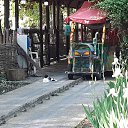  Viktor,  -  31  2021    