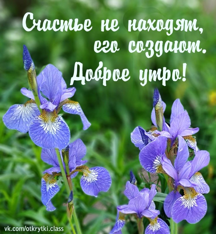   ,    . - 18  2021  01:07